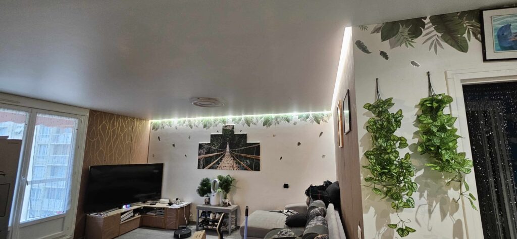 Installation bande Led + Luminaires dans Salon et cuisine de 35 m²