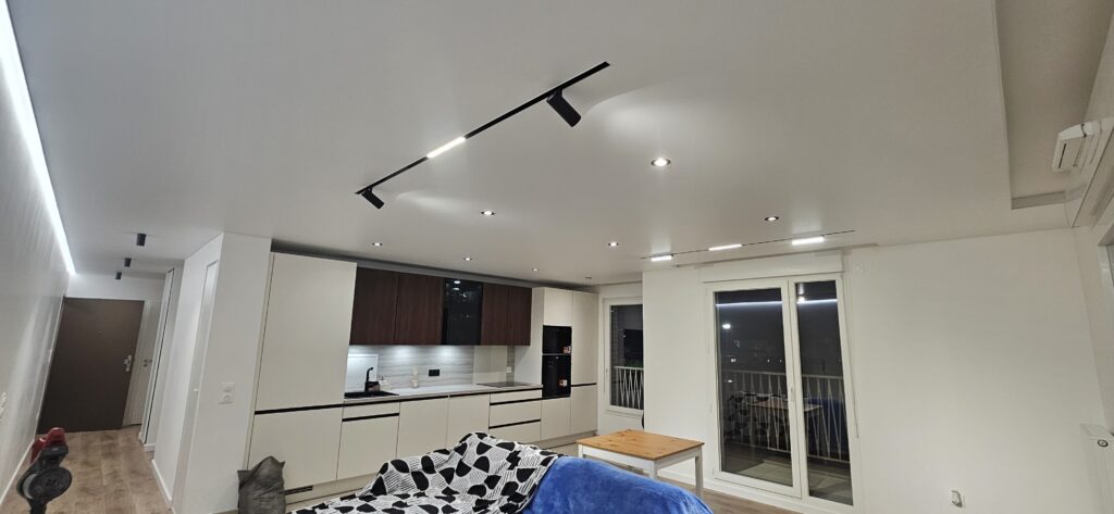 Rail magnétique multi luminaire noir, spots, bande led d'ambiance